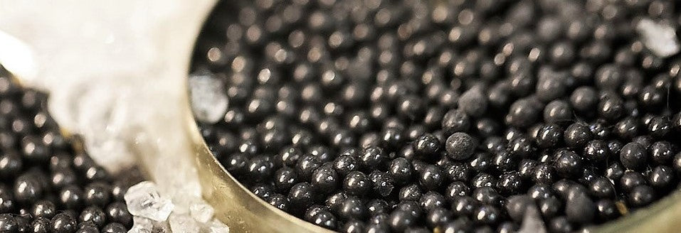 Wine Pairing Caviar