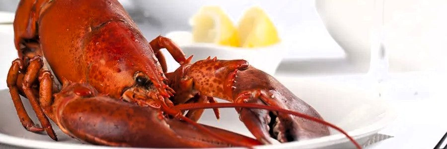 Lobster - Homard