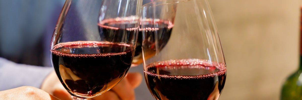 Red wine organic winesbio — Winesbio