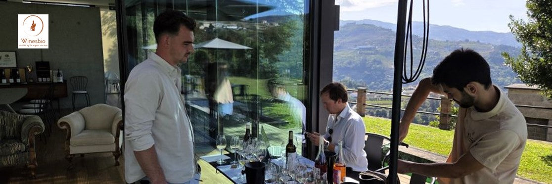 Tasting wine at A&D Wines