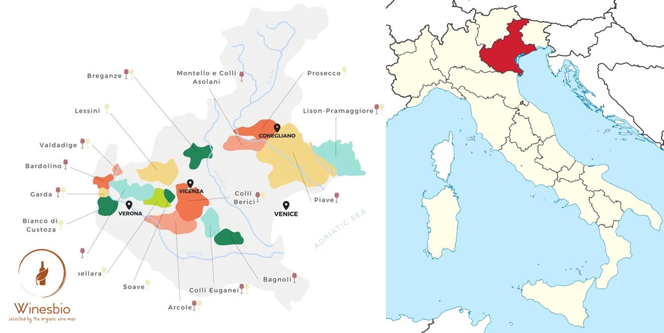 Italy Veneto wine region map