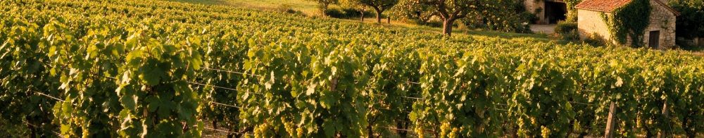 Domaine de la Verpaille Viré-Clessé Burgundy Bourgogne