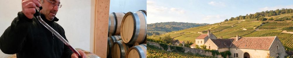 Domaine Jean-Pierre Guyon Vosne-Romanée Burgundy