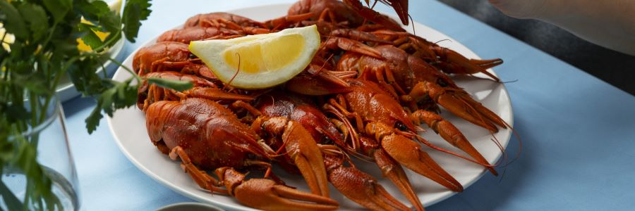 crayfish wine pairing