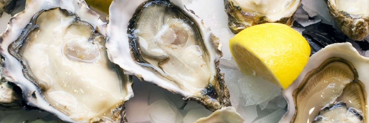 Oysters winepairing oesters wijn en gerecht