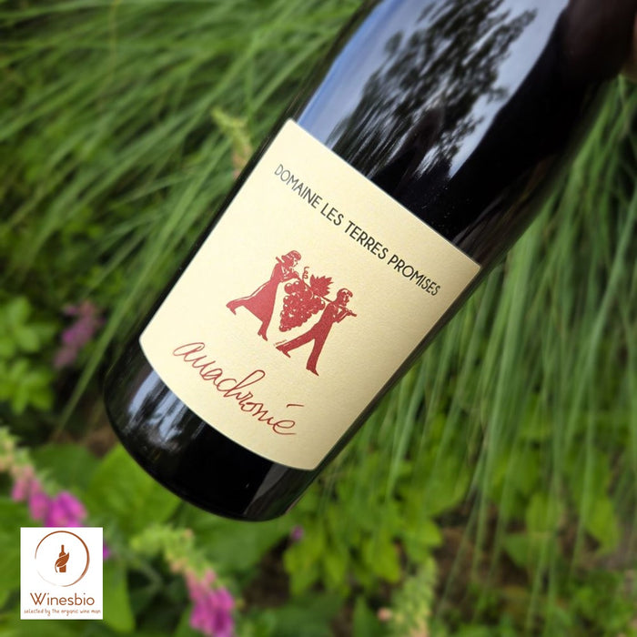 Domaine Les Terres Promises Anachronie Rosé 2024