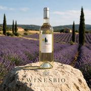 Château du Seuil Auro Rousso Blanc