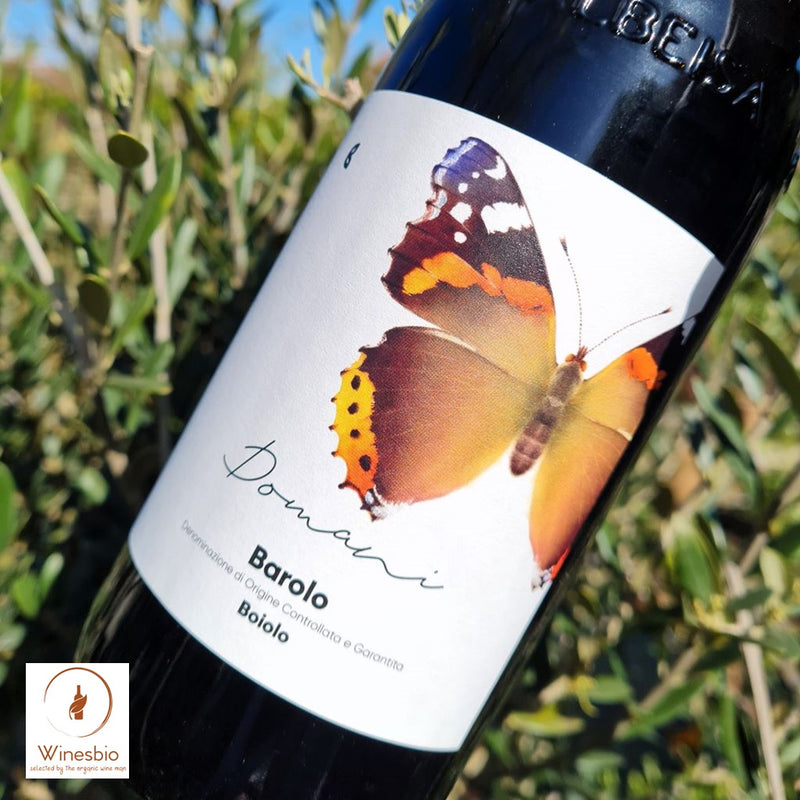 Camparo Domani Barolo Boiolo