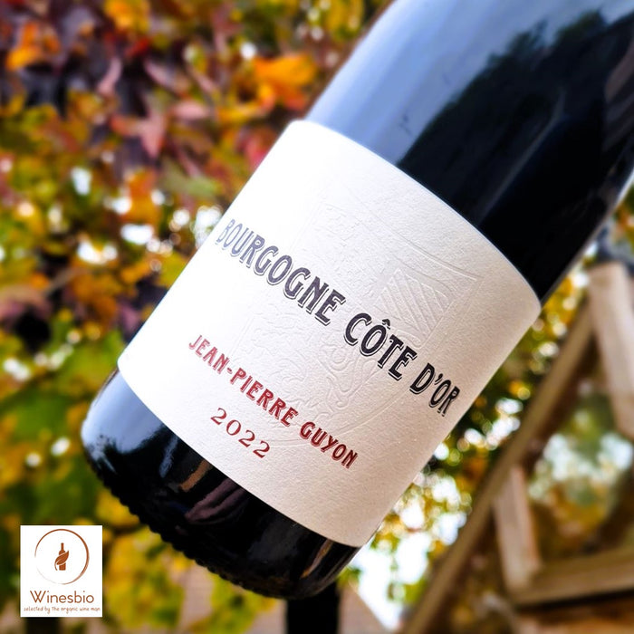 Domaine Jean-Pierre Guyon Bourgogne 2022