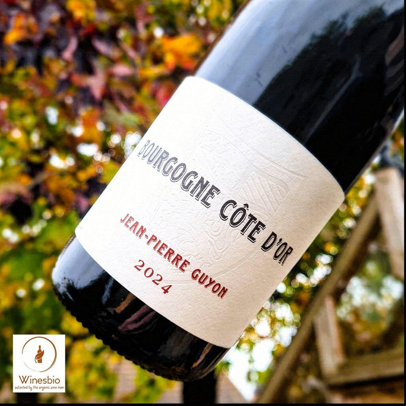 Domaine Jean-Pierre Guyon Bourgogne 2024
