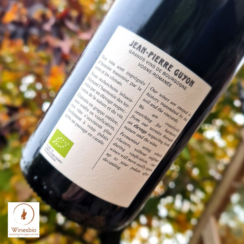 Domaine Jean-Pierre Guyon Bourgogne 2024