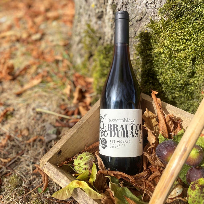 Château les Vignals l'Assemblage Braucol Duras 2022