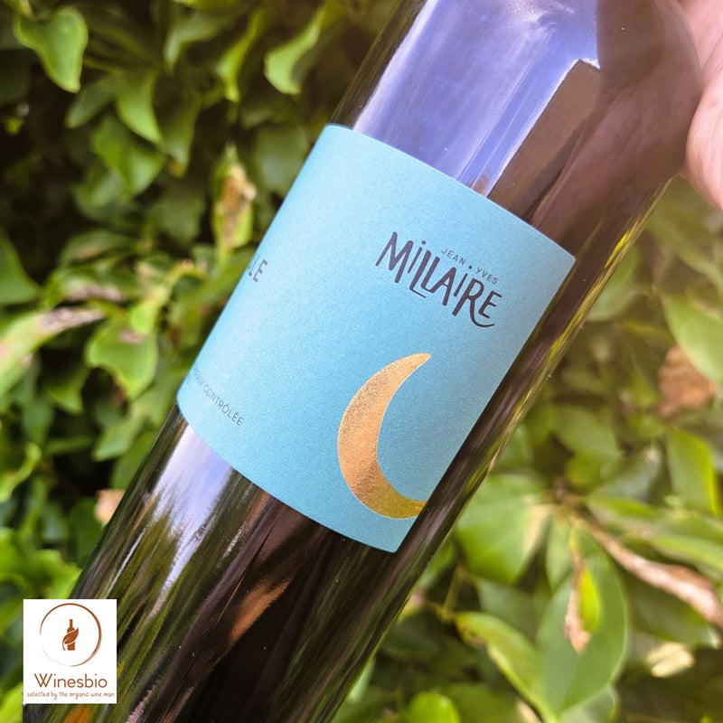 Vignoble Millaire Château Cavale Bordeaux 2023