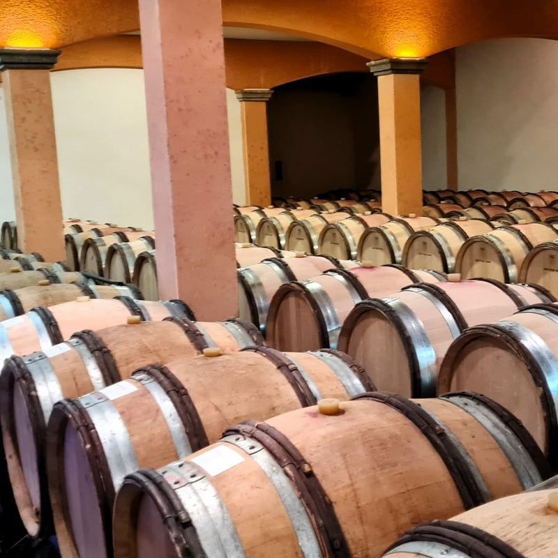 Domaine Jean-Pierre Guyon cellar cave