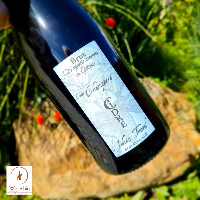 Julien Thurel Champêtre Cidre Brut 2021