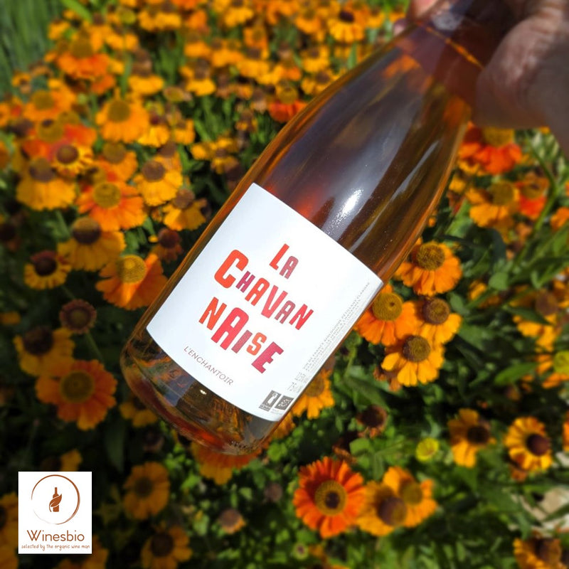 Domaine de l'Enchantoir La Chavannaise Pet Nat Rosé 2023