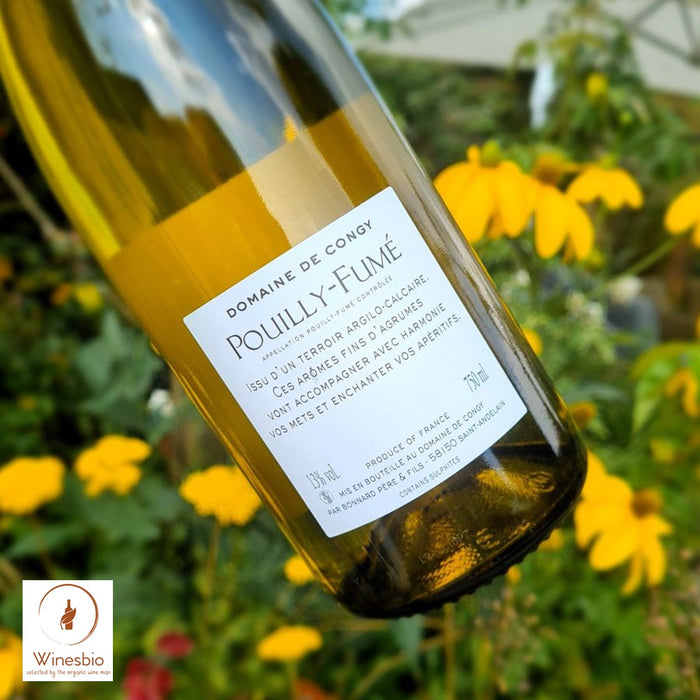 Domaine de Congy Pouilly-Fumé 2023