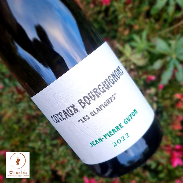 Domaine Jean-Pierre Guyon Coteaux Bourguignons "Les Glapignys" 2022