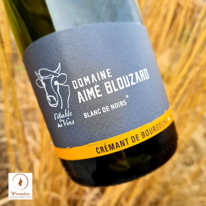 Domaine Aimé Blouzard Crémant de Bourgogne Blanc de Noirs Brut 2019