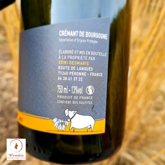 Domaine Aimé Blouzard Crémant de Bourgogne Blanc de Noirs Brut 2019