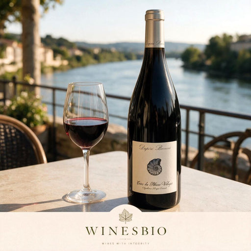 Dupéré Barrera Côtes du Rhône Villages 