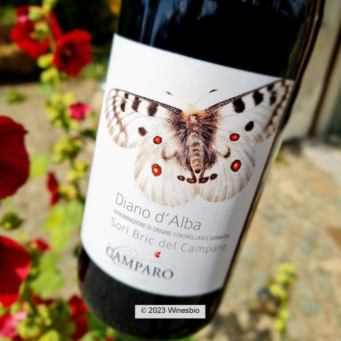 Diano — red Camparo wine Dolcetto 2020 Sorì di d\'Alba Bric Winesbio winesbio