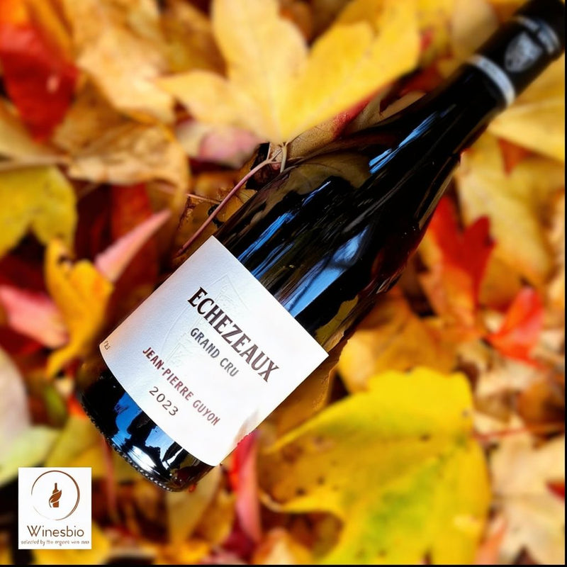 Domaine Jean-Pierre Guyon Echezeaux Grand Cru 2023