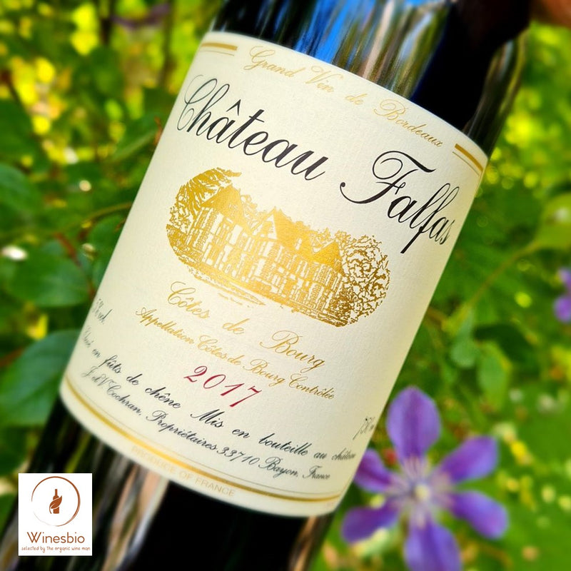 Château Falfas Château Falfas Côtes de Bourg 2019 demi