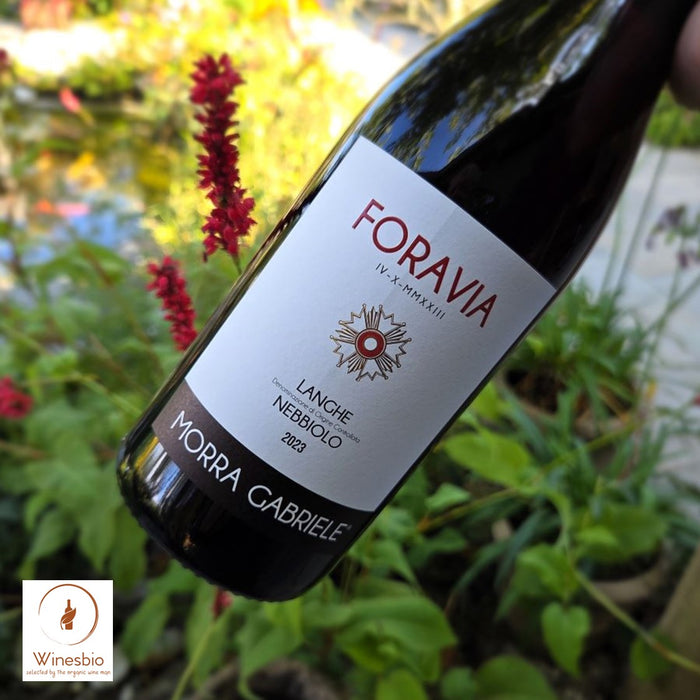 Morra Gabriele Foravia Rosso 2023