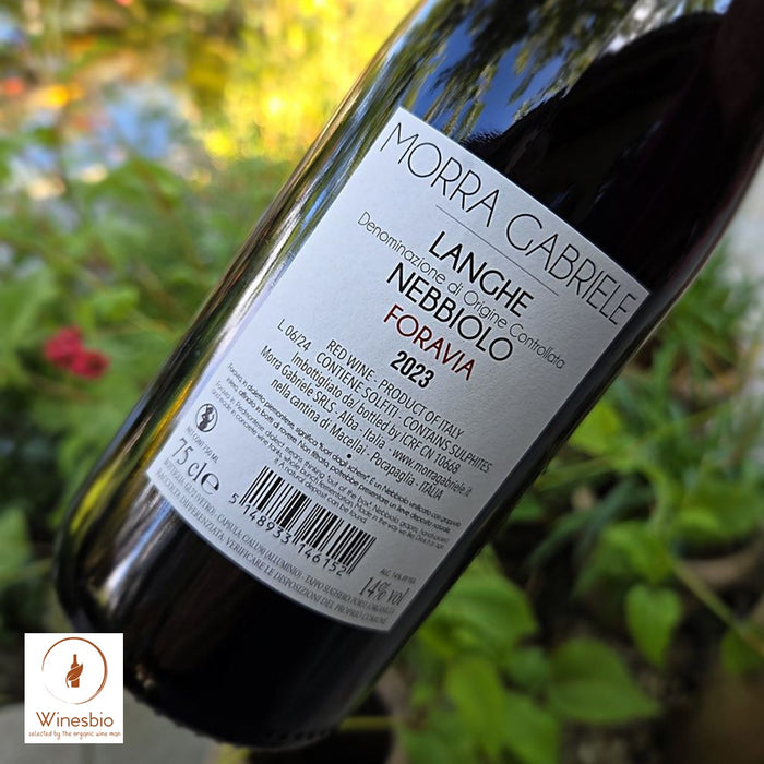 Morra Gabriele Foravia Rosso 2023 back