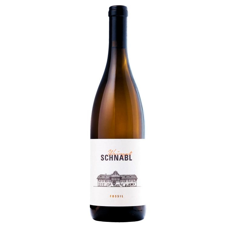Fossile du vignoble Schnabl 2019