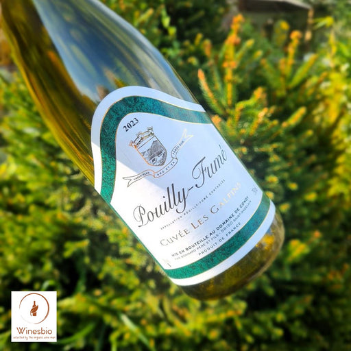 Domaine de Congy Cuvée les Galfins Pouilly-Fumé 2023