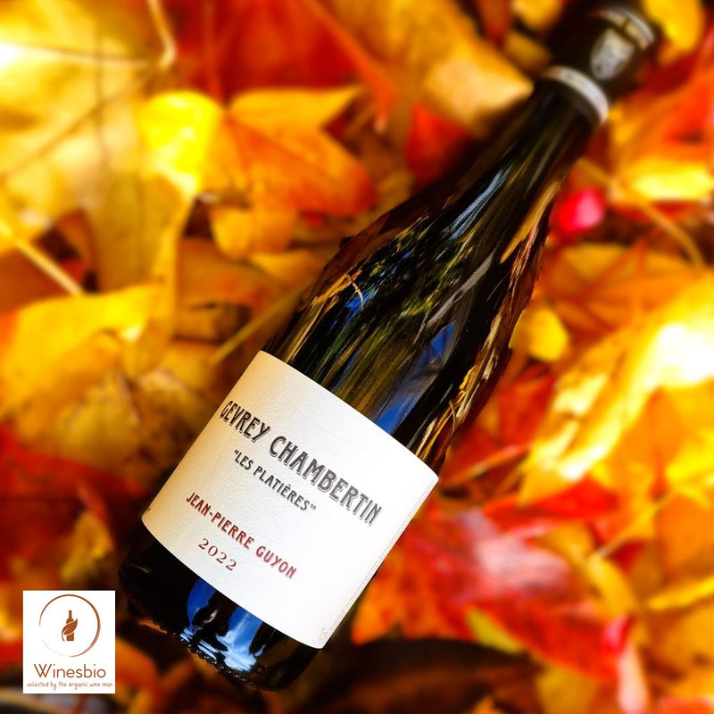 Domaine Jean-Pierre Guyon Gevrey Chambertin 'Les Platières' 2023
