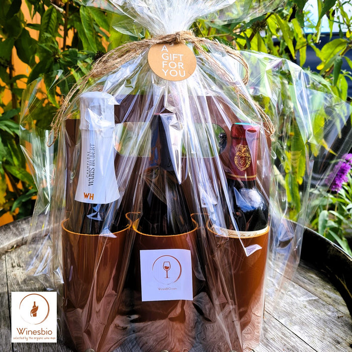 Six Sips of Bliss: A Curated Wine & Champagne Gift Set