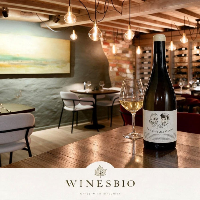 Domaine Adrien Berlioz Cuvée des Gueux blanc 2025
