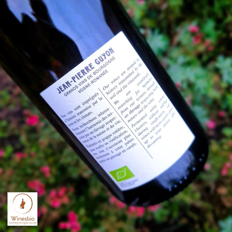 Domaine Jean-Pierre Guyon Coteaux Bourguignons "Les Glapignys" 2023