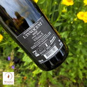 Château les Vignals Innocent Brut