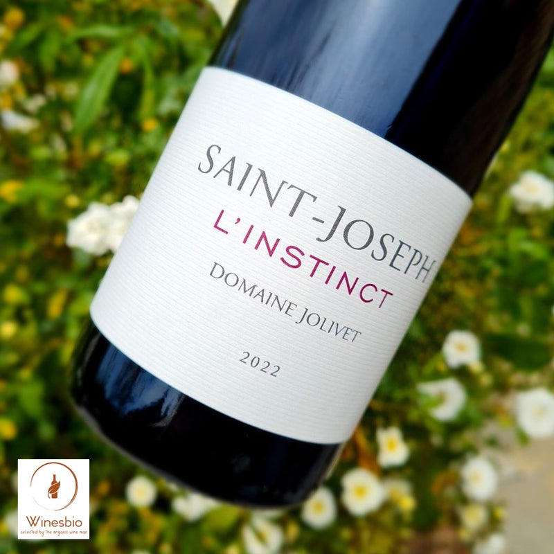 Domaine Jolivet L'Instinct Saint-Joseph 2022