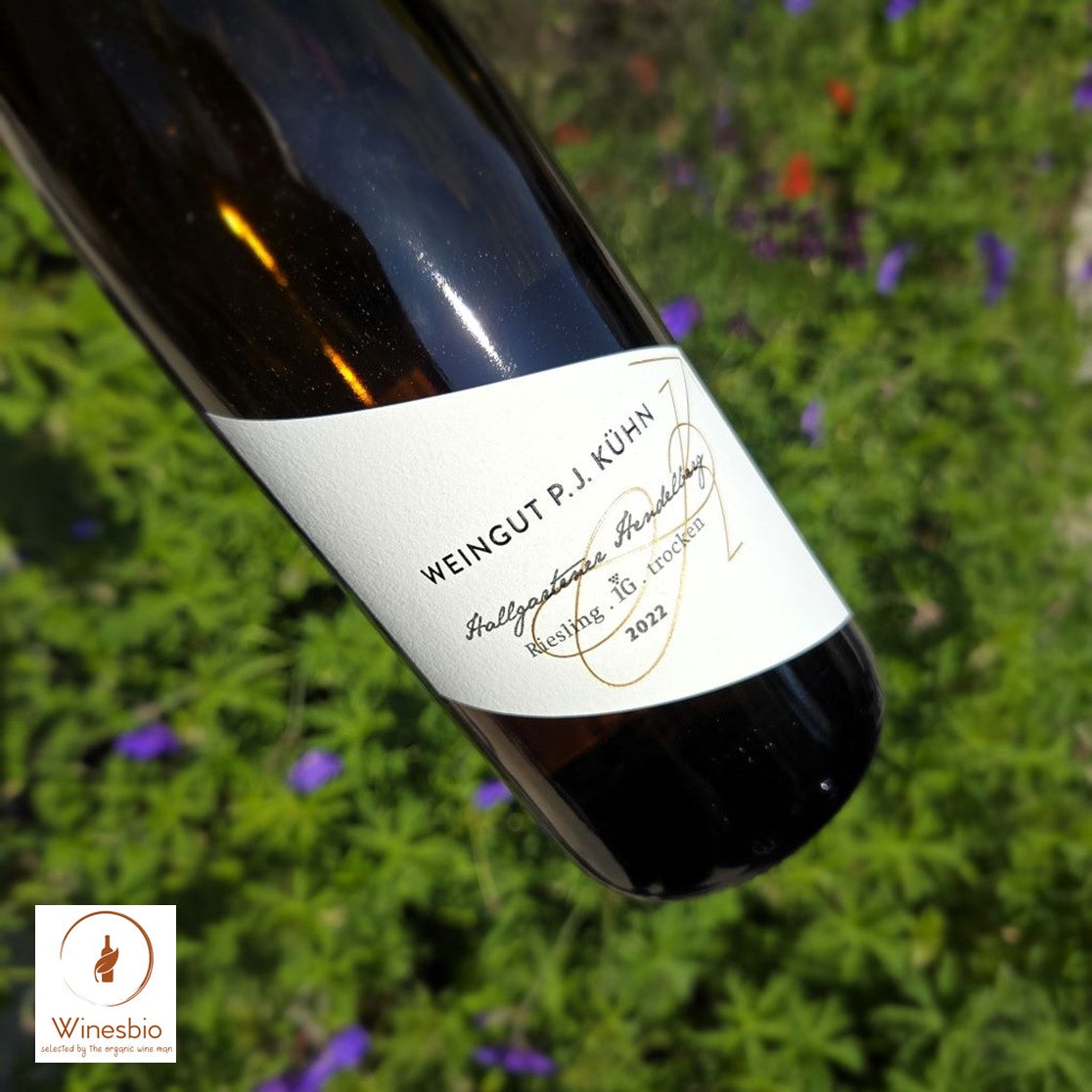 Peter Jakob Kühn Hallgartener Hendelberg 1G Riesling Trocken 2022