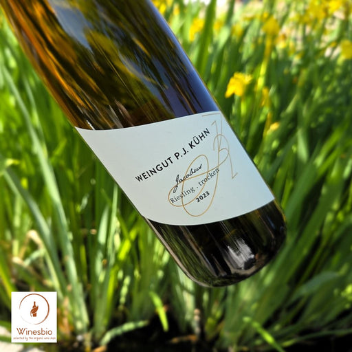 Peter Jakob Kühn Jacobus Riesling Trocken 2023