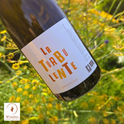 Domaine de l'Enchantoir La Turbulente 2022 Pétillant Naturel