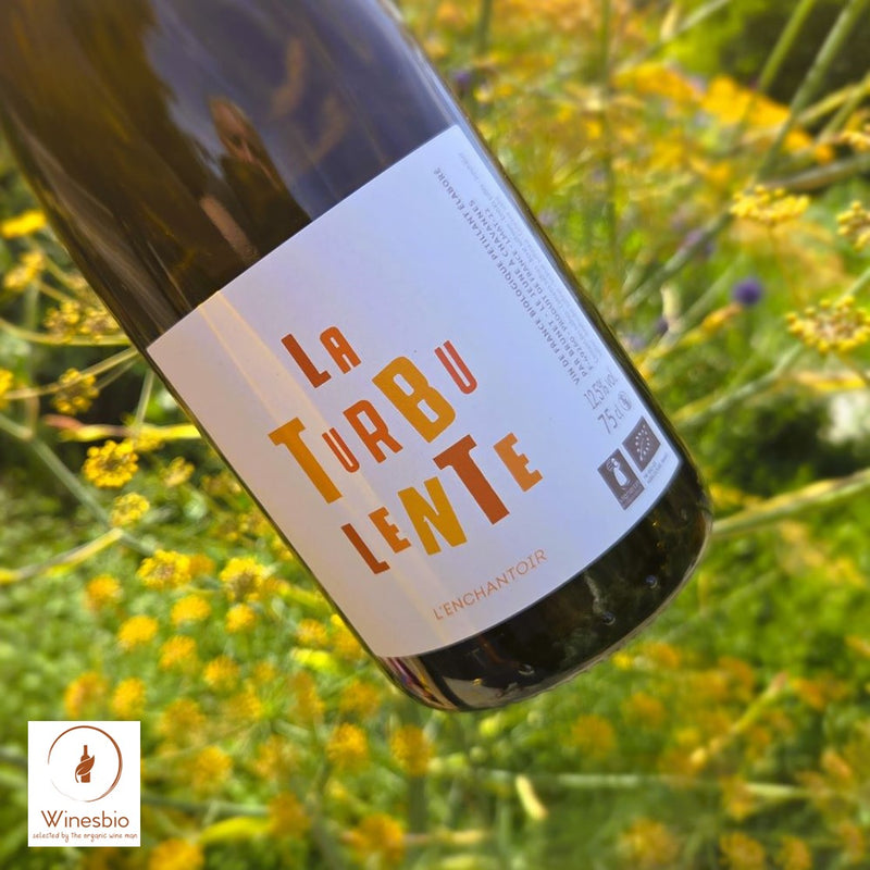 Domaine de l'Enchantoir La Turbulente 2022 Pétillant Naturel