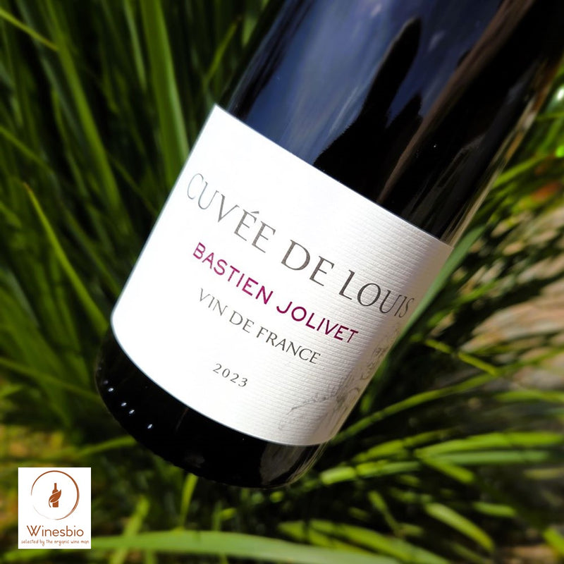 Domaine Jolivet Cuvée de Louis 2023