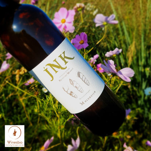 JNK Malvasia 2016