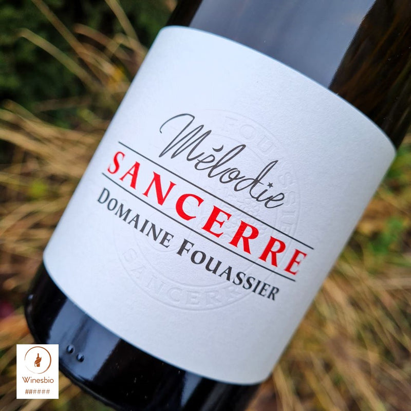Domaine Fouassier Mélodie Sancerre 2019 blanc