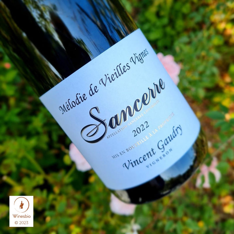 Vincent Gaudry Mélodie de Vieilles Vignes Sancerre 2022 Blanc