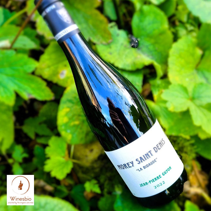 Domaine Jean-Pierre Guyon Morey-Saint-Denis 'La Bidaude' 2024 Blanc