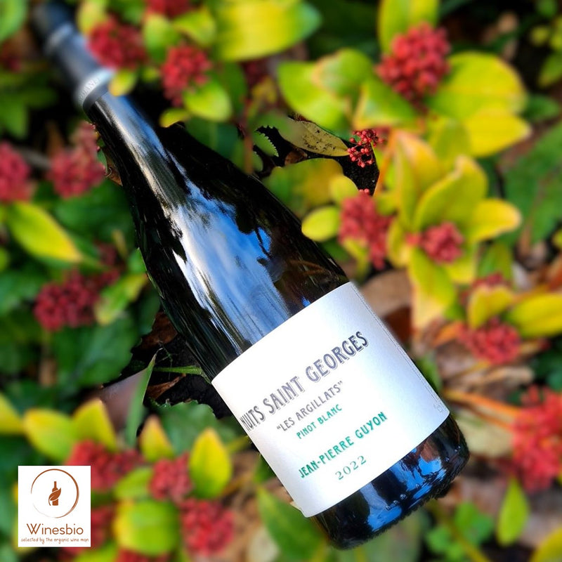 Domaine Jean-Pierre Guyon Nuits-Saint-Georges 'Les Argillats' 2024 Blanc