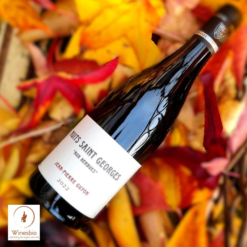 Domaine Jean-Pierre Guyon Nuits-Saint-Georges 'Aux Herbues' 2024