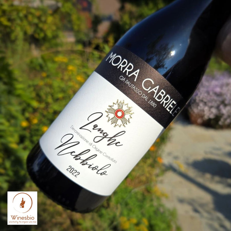 Morra Gabriele Langhe Nebbiolo 2022